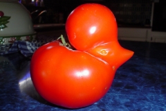 tomato-058